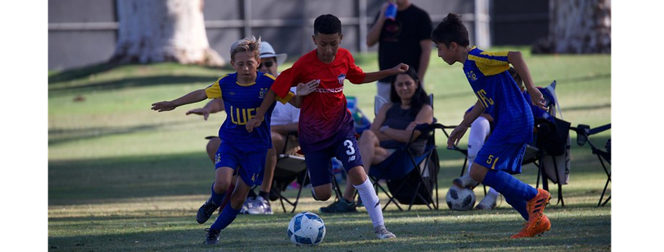 Player Development